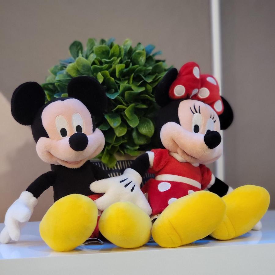 Winterfield At Disney 9350 Киссимми Экстерьер фото